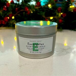 Eucalyptus Scented Candle